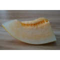 Suntoday oblong yellow rind white flesh xinjiang  japanese  vegetable hybrid melon seeds